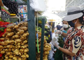 Precios de alimentos subirían un 35% más ante alza de costo de fertilizantes