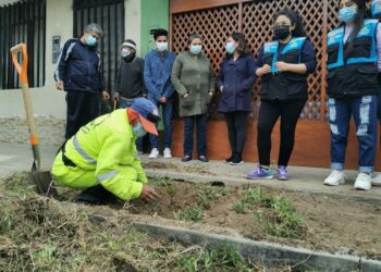 Municipalidad de Víctor Larco sensibiliza el sembrado y cuidado de los árboles