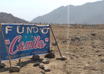 Invasiones no cesan en propiedad privada producto de ilícito accionar de “Los Malditos de Poroto”