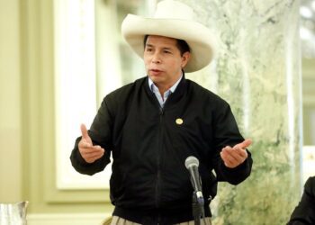 Pedro Castillo ante la ONU: “Mi Gobierno declarará la emergencia climática nacional”