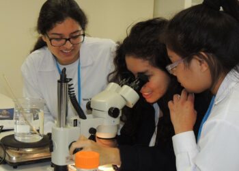 Gobierno crea grupo de trabajo para evaluar la creación de un Ministerio de Ciencia y Tecnología