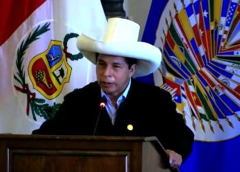 Pedro Castillo en la OEA: “No hemos venido a ahuyentar a las grandes inversiones, al contrario, las llamamos”