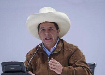 Miembros del Consejo de Estado piden a Pedro Castillo una sesión de urgencia por inestabilidad política