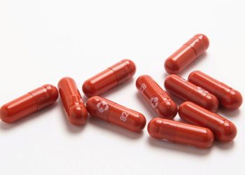 COVID-19: Reino Unido aprueba el uso de la primera pastilla antiviral