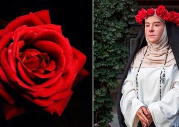 Santa Rosa de Lima: así puedes colocar en WhatsApp una rosa como ícono por su día