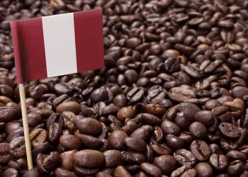 Perú se posiciona como el séptimo proveedor de café del mundo