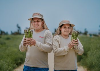 Danper ratifica su liderazgo al obtener el 1° lugar en el sector agroindustrial
