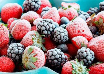 Perú: venta de fruta congelada al exterior crece en 19%