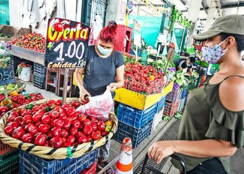 Conveagro: cerca de 17 millones de peruanos no tendrán alimentos durante el 2023