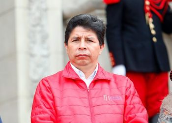 Conoce las falsedades e imprecisiones en el discurso de los defensores de Pedro Castillo