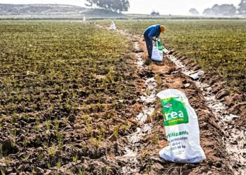 Milton Von Hesse sobre el fallido intento de compra de urea: “Las condiciones en las que se dio eran muy malas”