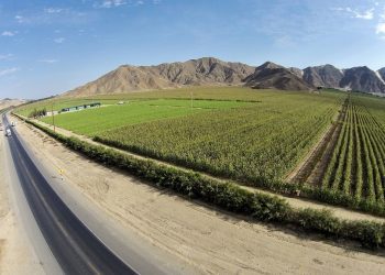 Chavimochic III se licitaría bajo la modalidad de gobierno a gobierno