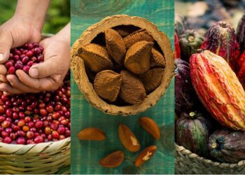 Súper alimentos peruanos destacan en la feria mundial más grande de productos orgánicos