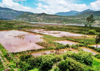 Más 11 mil hectáreas de cultivos afectadas por intensas lluvias registradas en las regiones del norte