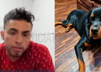 Dictan prisión preventiva contra sujeto que mató a balazos a perrito en un parque