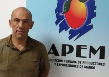 APEM: Campaña peruana de mango 2023/2024 está asegurada