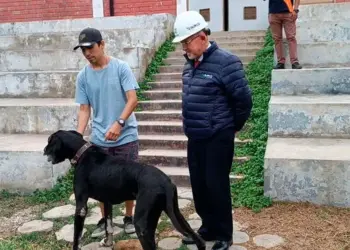 Perrito perdido hace tres años apareció en Surco y reconoció a su familia