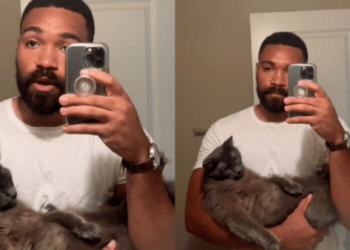 Insólito: joven renuncia a su primer día de trabajo por su gato