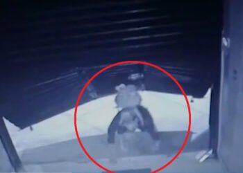 Lima: delincuente rompe puerta de casa de apuestas para robar ganancias