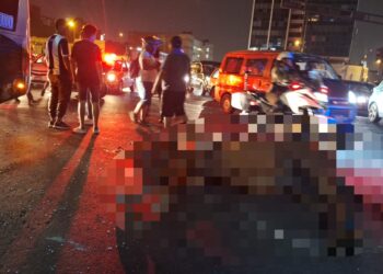 Caballo de la Policía muere tras ser atropellado cerca al Estadio Nacional