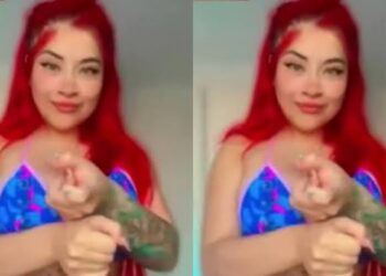 Integrante de la banda criminal «Los Pulpos» se dedicaba a extorsionar quemando mascotas