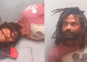 Extranjero habría violado y quemado a más de 20 perros y gatos en Huaral