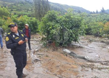Viviendas colapsan en Huancayo y tres personas fallecen en Andahuaylas por lluvias