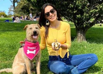Ingeniera de sistemas crea la única ONG de Perú dedicada a la esterilización de perros y gatos