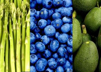 Exportaciones agroindustriales de La Libertad sumaron US$ 1.950 millones en 2023