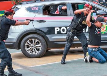 La relevancia del sector privado en la lucha contra la delincuencia  