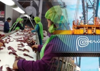 ComexPerú: Agroexportaciones crecieron un 11 % en el primer bimestre de 2024