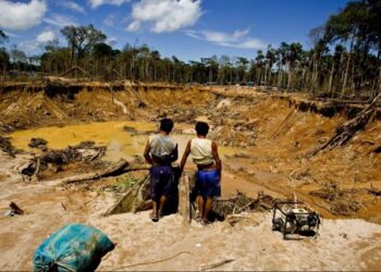Perú: aseguran que la falta de presencia del Estado ha impulsado el crecimiento de la minería ilegal en el país