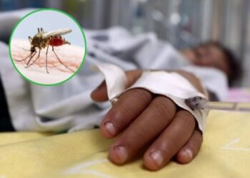 Dengue cobra la vida de 14 adultos mayores, un adolescente y dos niños en La Libertad
