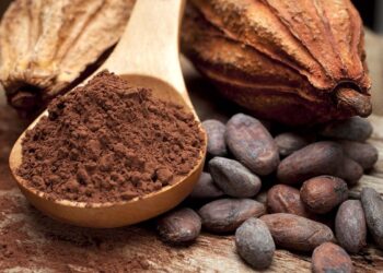 Producción peruana de cacao superó las 159.000 toneladas en 2023