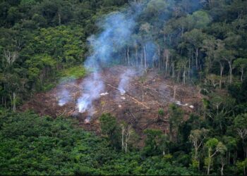 Naciones Unidas: el 40 % de las tierras del planeta están deterioradas