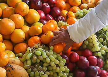 ADEX: El Perú tiene oportunidad para posicionarse en mercado de frutas y hortalizas congeladas