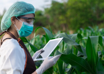 Iniciativas de emprendedores apuntan a reducir inseguridad alimentaria