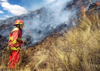 Incendios forestales afectan 5 lugares turísticos y 16 áreas naturales protegidas del Perú