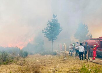 Incendios forestales en Perú: urgencia de concientizar y prevenir para salvar el futuro ambiental