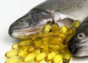 Producción mundial de harina y aceite de pescado se elevaron gracias a pesca peruana