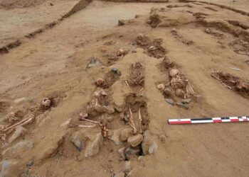 Descubren restos de al menos 30 niños sacrificados por la cultura Chimú en La Libertad