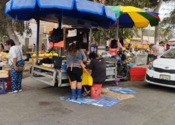 Nueve de cada diez emprendedores informales quieren formalizarse