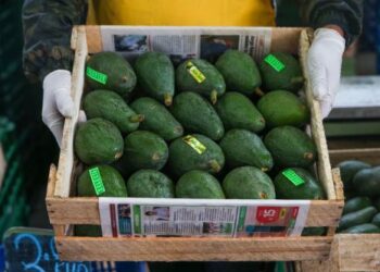 Perú logró 21 nuevos accesos para productos agrícolas en el año 2024