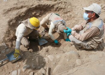 Trujillo: investigación arqueológica y conservación permite definir nuevo uso de muros perimetrales en Chan Chan
