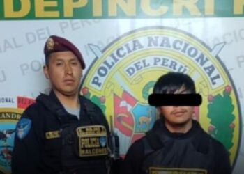 Juliaca: detienen a sujetos con semillas y tallos de marihuana