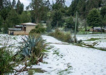 Cajamarca: reportan más de 30 familias afectadas por granizada en caseríos Quilimbash y Malcalt Alto (FOTOS)