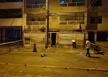 Lima: perrito muere al intentar salvar a su dueño del ataque de un sicario en SJL
