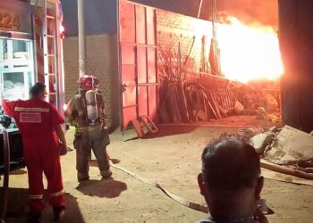 Trujillo: perritos mueren calcinados en incendio desatado en La Esperanza