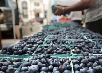Agroindustria impone tecnología pero urge reactivar proyectos que favorezcan sector