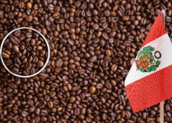 Midagri: exportaciones de café crecieron 33% y sumaron más de US$ 1,100 millones en 2024